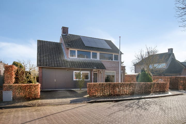 Walter Pompelaantje 2 main image