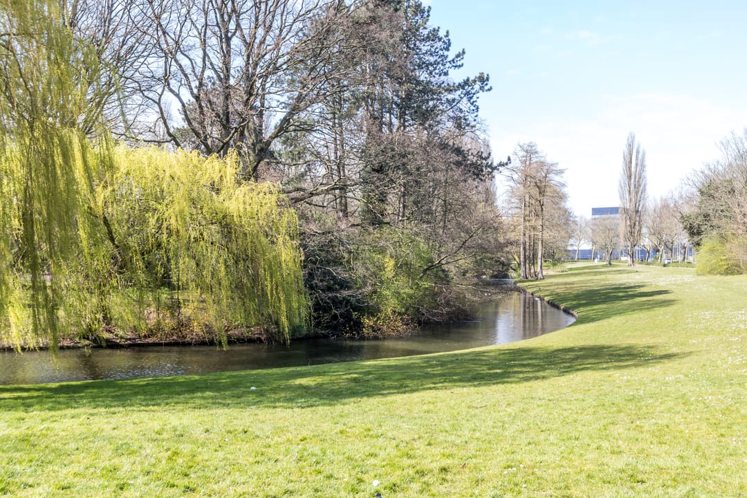 Foto 2 van Boezemlaan 40-D