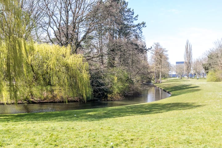 Foto 2 van Boezemlaan 40-D