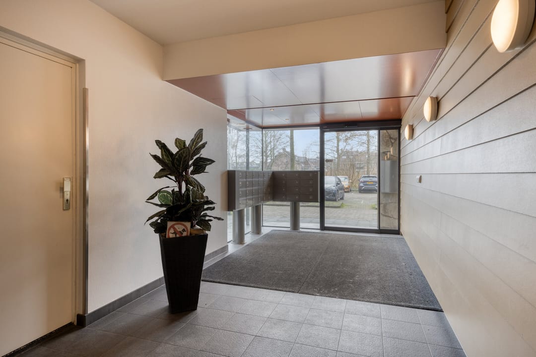 Foto 7 van Dotterlei 683