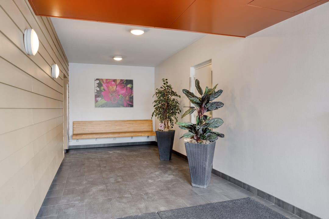 Foto 8 van Dotterlei 683