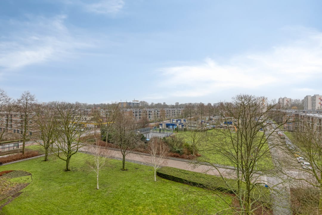 Foto 13 van Dotterlei 683