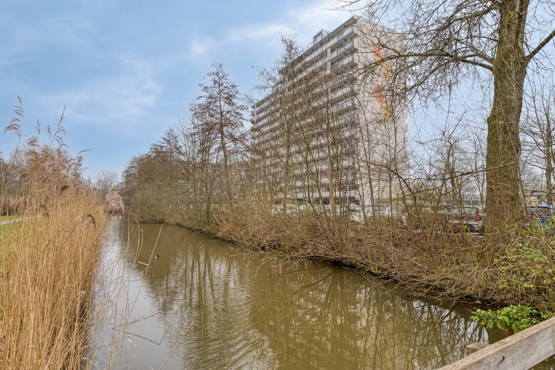 Foto 26 van Dotterlei 683