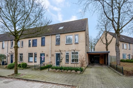 Ferdinand Bolstraat thumbnail