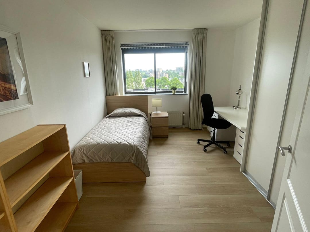 Foto 11 van Laan van Deshima 29