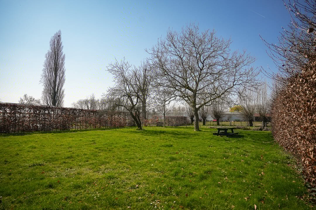 Foto 31 van Langestraat 16