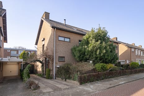 undefined main image