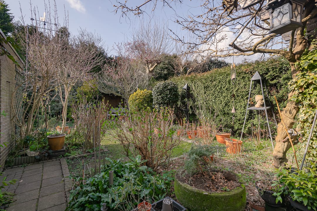 Foto 16 van Brusselseweg 343