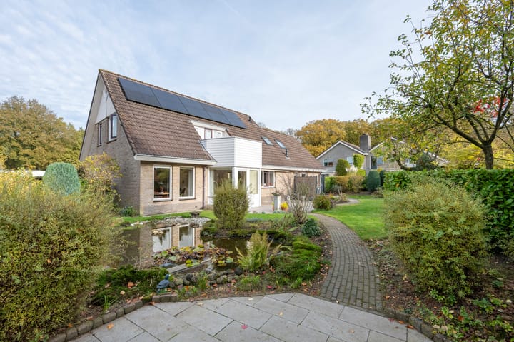 Foto 2 van Dwerggors 2