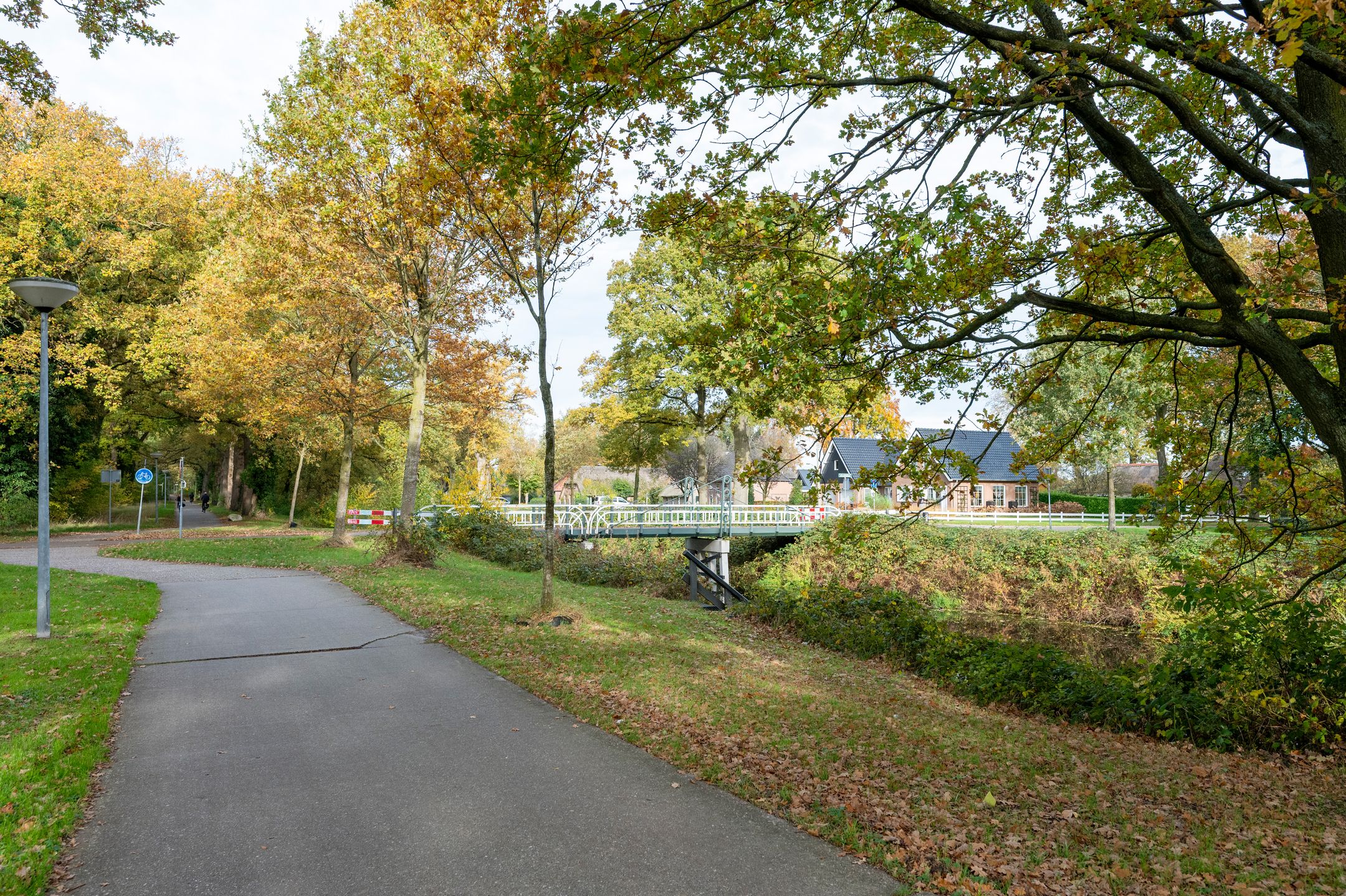 Foto 60 van Dwerggors 2