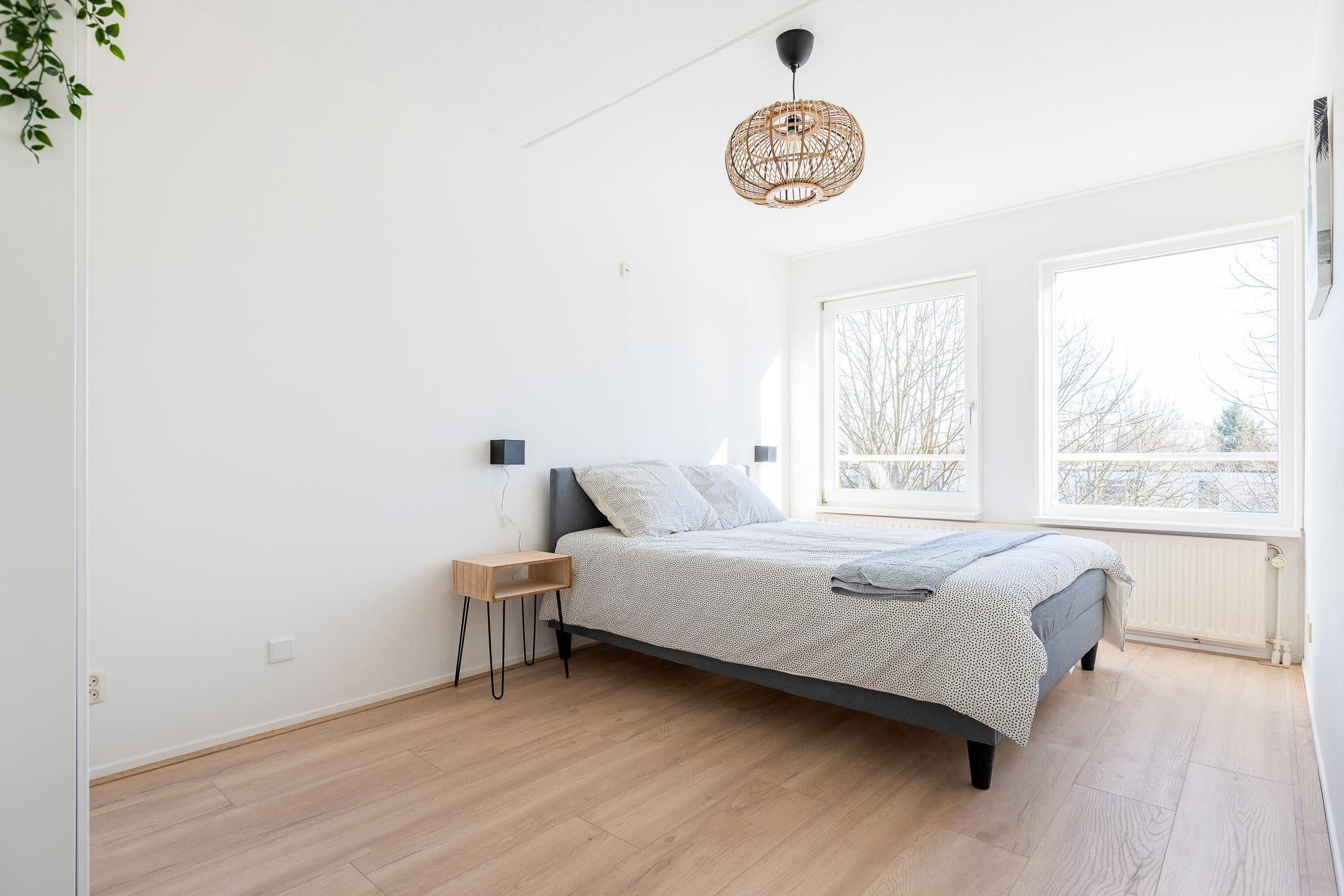 Foto 15 van S.O.J. Palmelaan 243