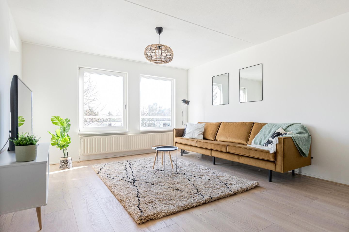 Foto 4 van S.O.J. Palmelaan 243