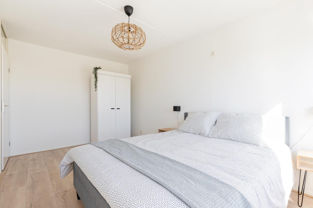 Foto 16 van S.O.J. Palmelaan 243