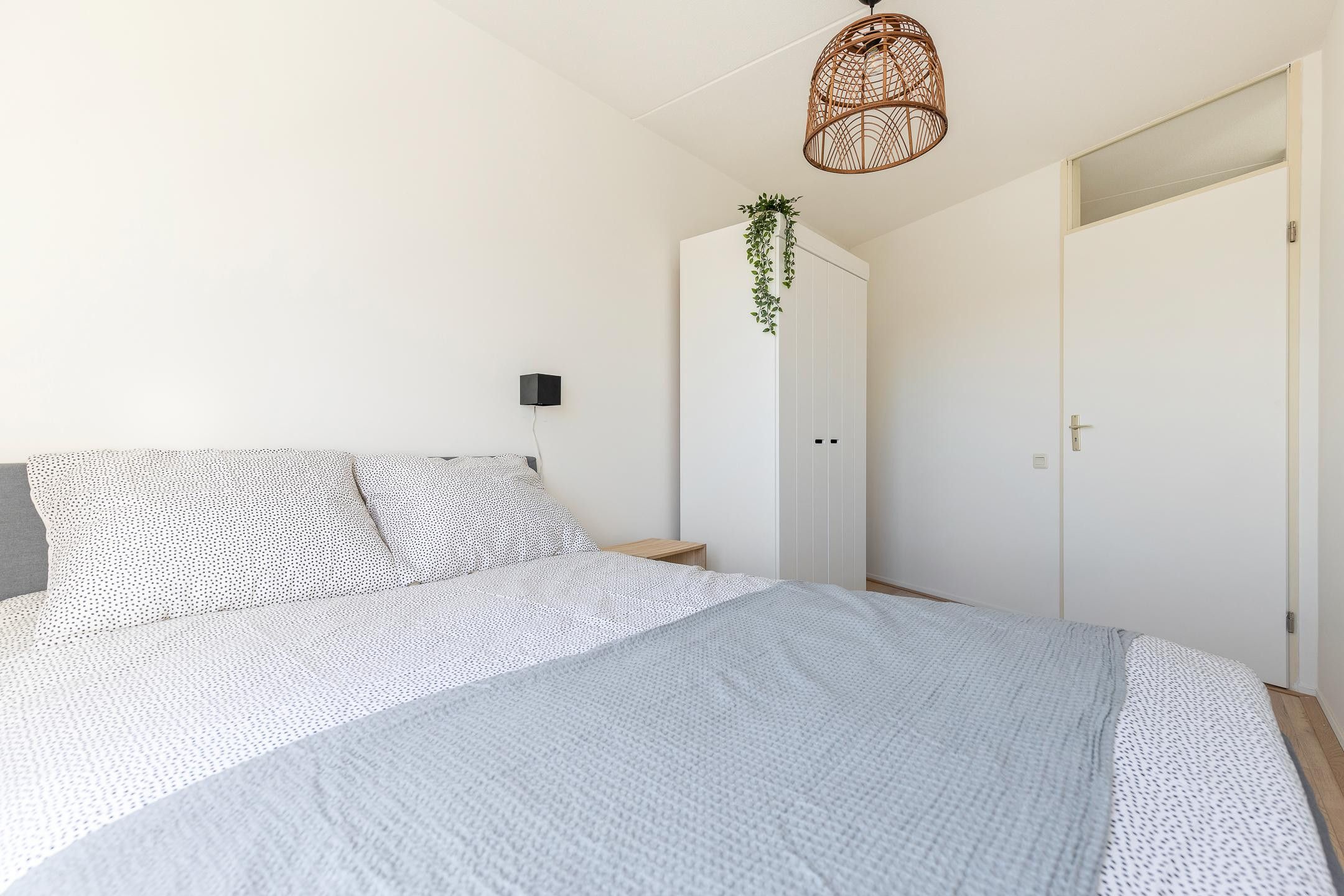 Foto 18 van S.O.J. Palmelaan 243