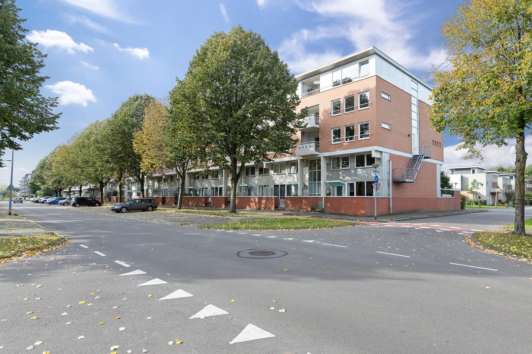 Foto 2 van S.O.J. Palmelaan 243