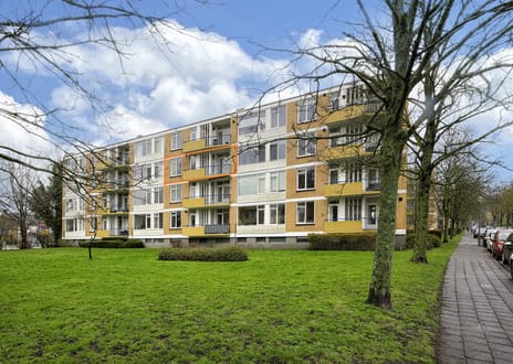 Van Ostadelaan thumbnail