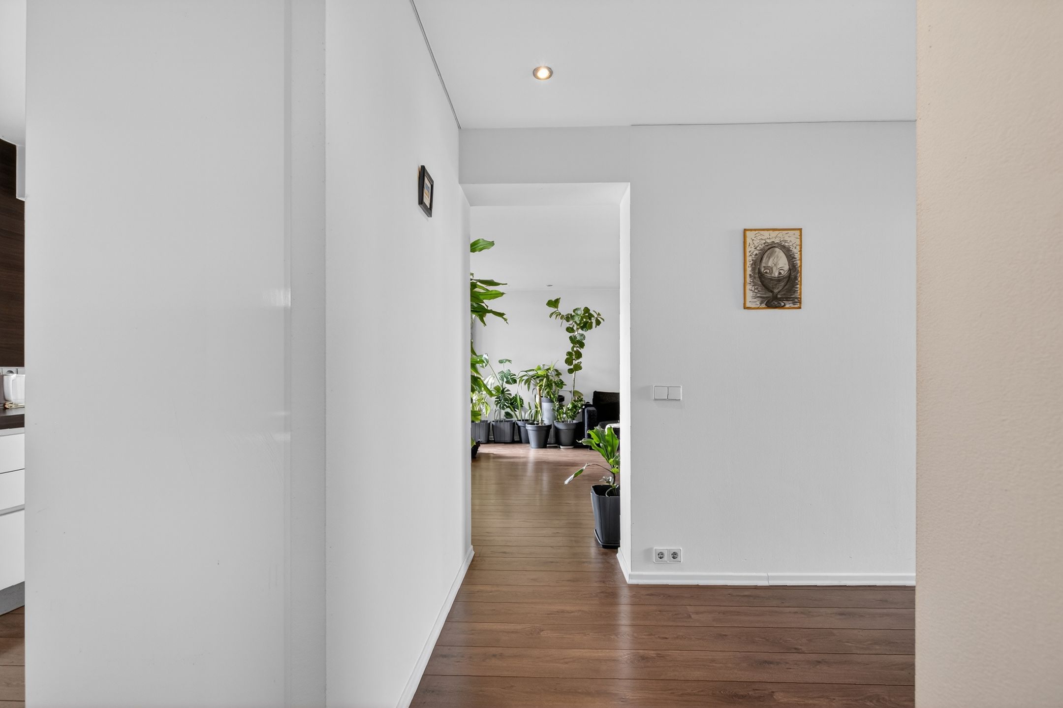 Photo 24 of Groenhoven 163