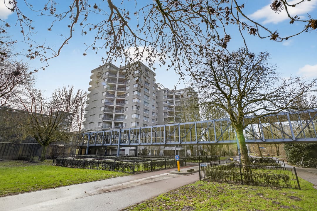 Photo 43 of Groenhoven 163