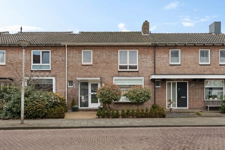 undefined main image