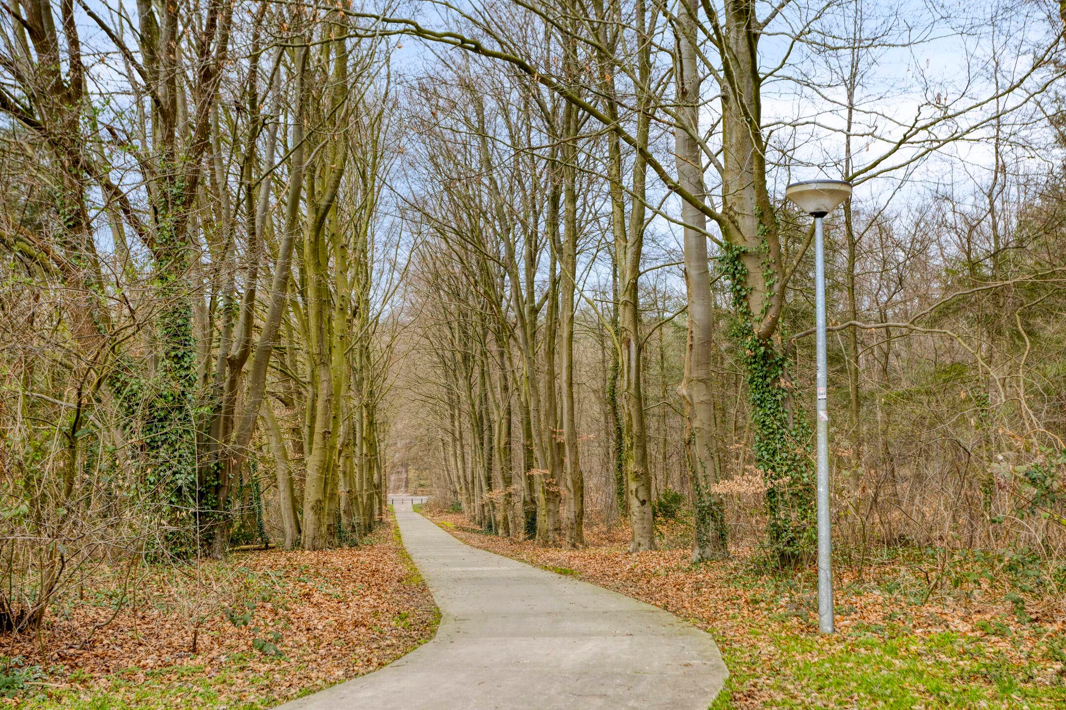 Foto 51 van Burnierlaan 20