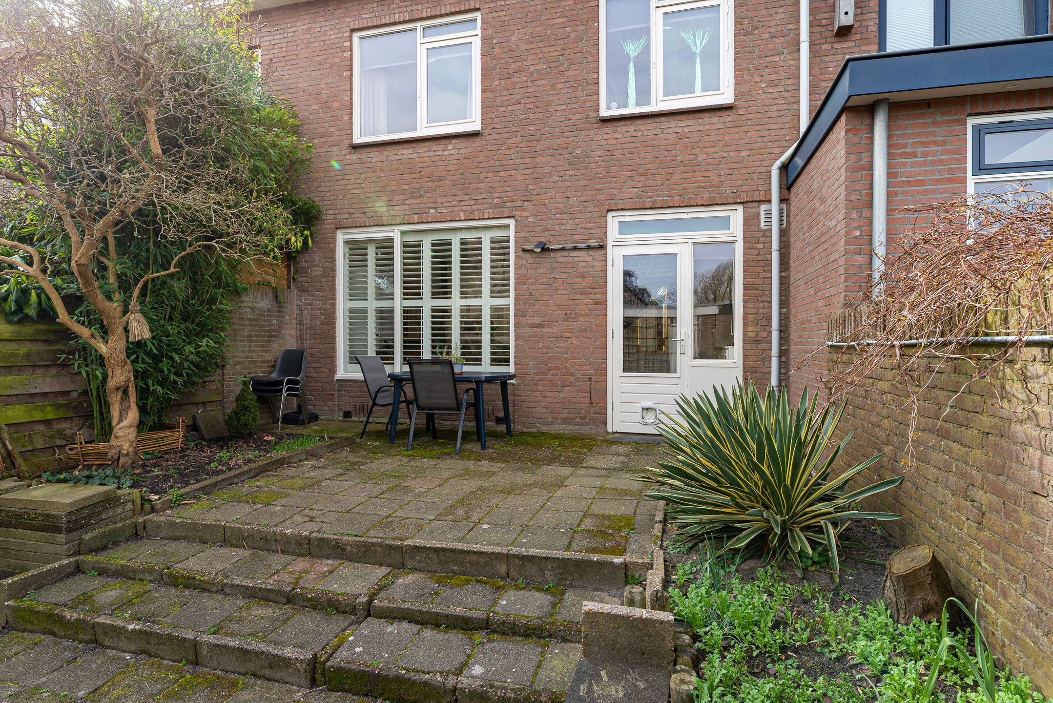 Photo 33 of Sleedoornplantsoen 46