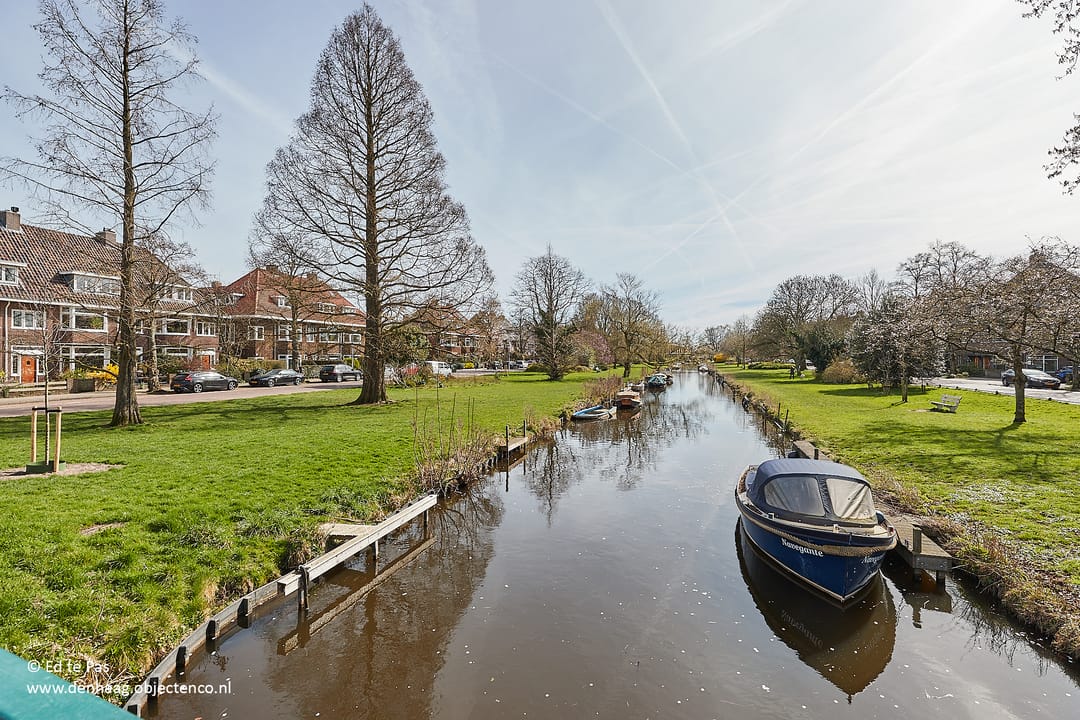 Foto 43 van Thorbeckestraat 74