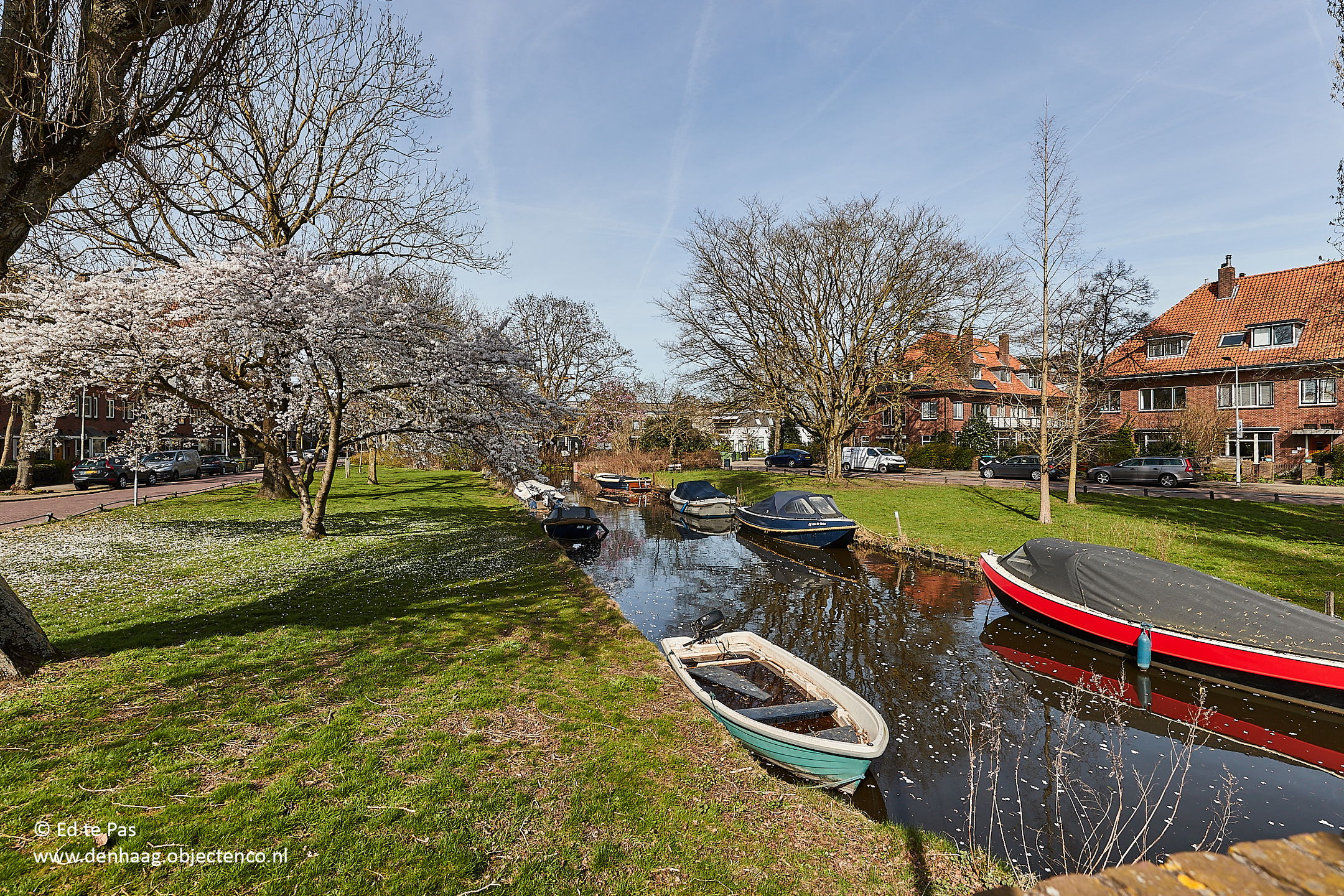 Foto 45 van Thorbeckestraat 74