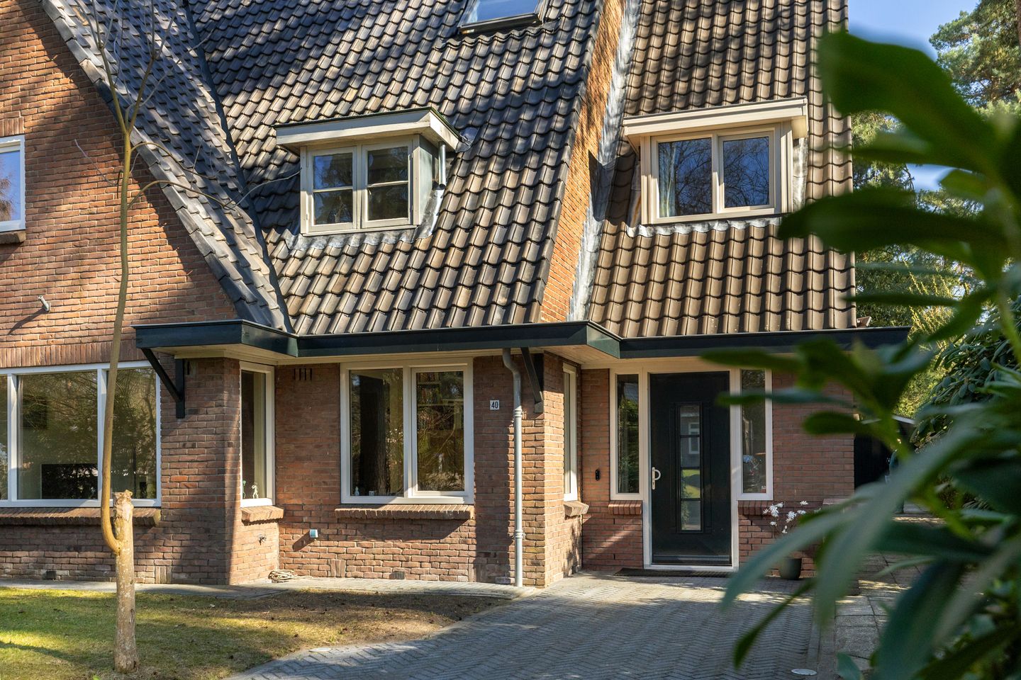 Foto 5 van Haydnlaan 40