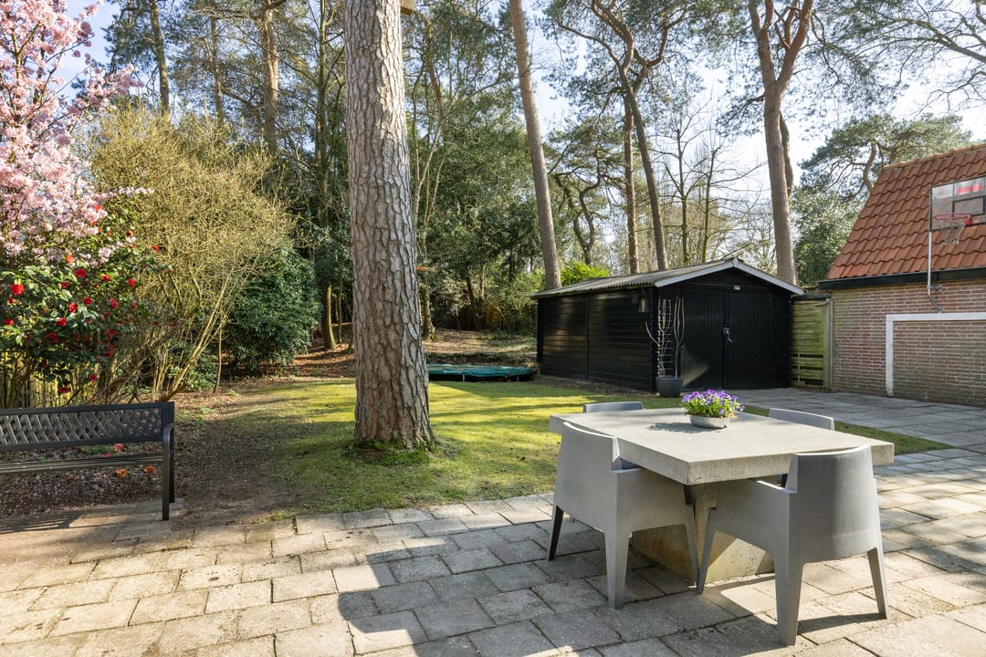 Foto 53 van Haydnlaan 40