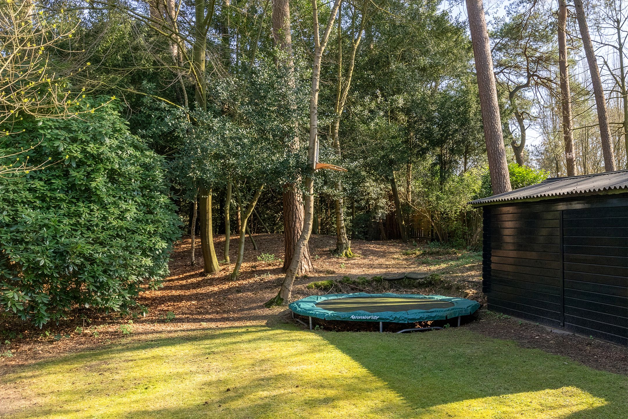 Foto 54 van Haydnlaan 40