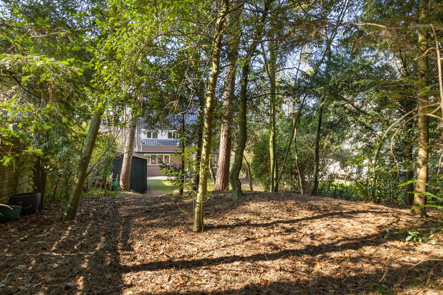 Foto 55 van Haydnlaan 40