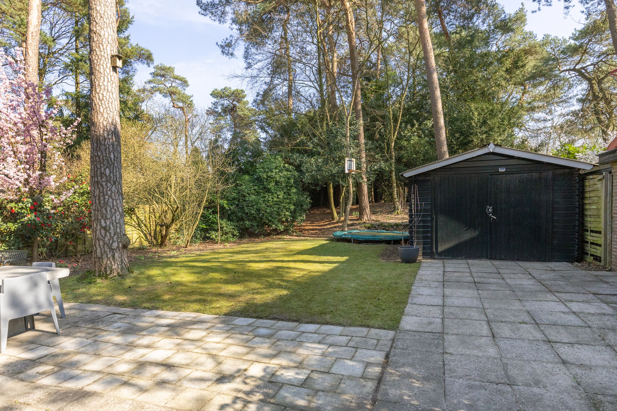 Foto 51 van Haydnlaan 40