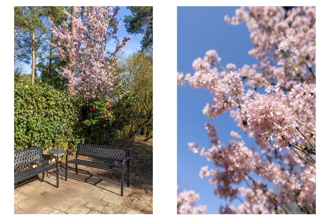 Foto 61 van Haydnlaan 40