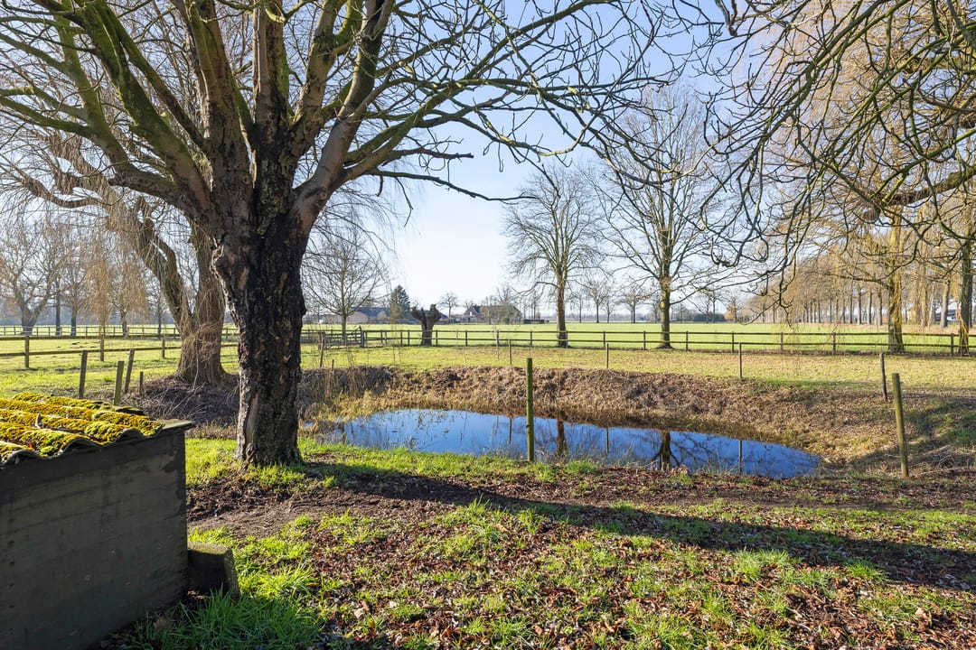 Foto 67 van Damianenweg 4