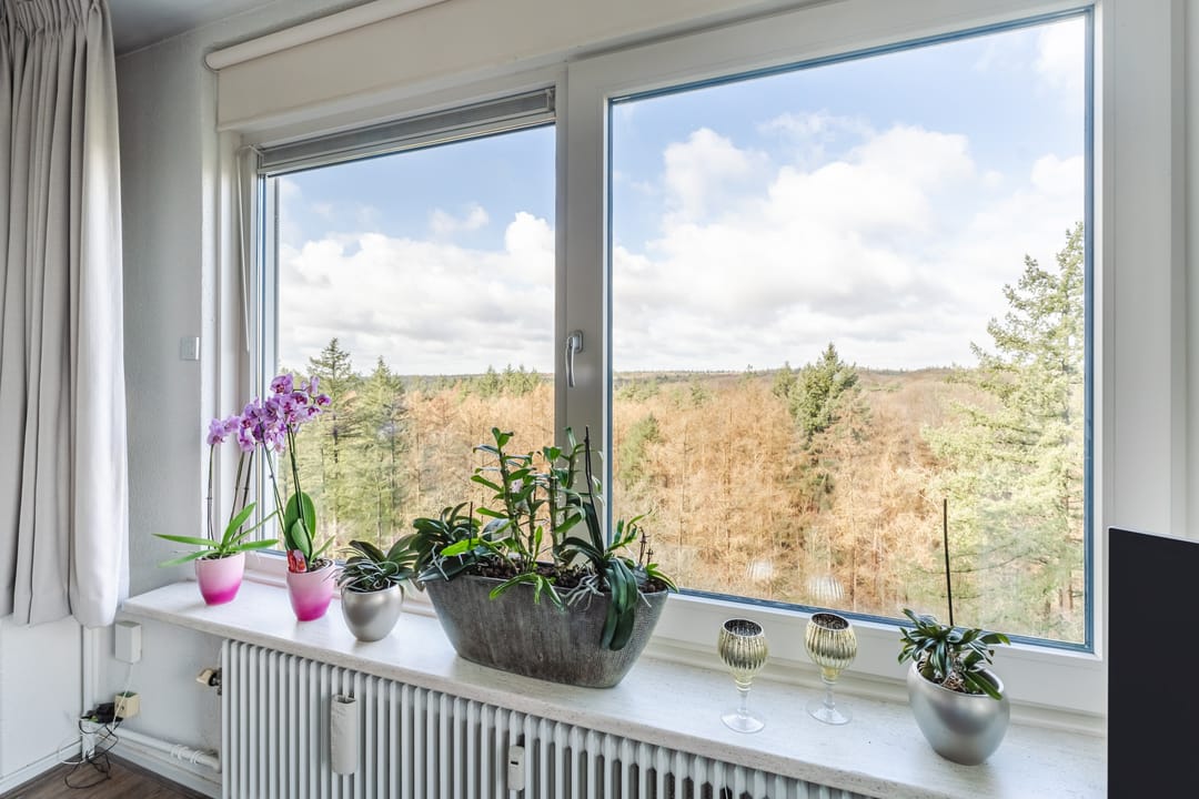 Foto 8 van Soerenseweg 125-98