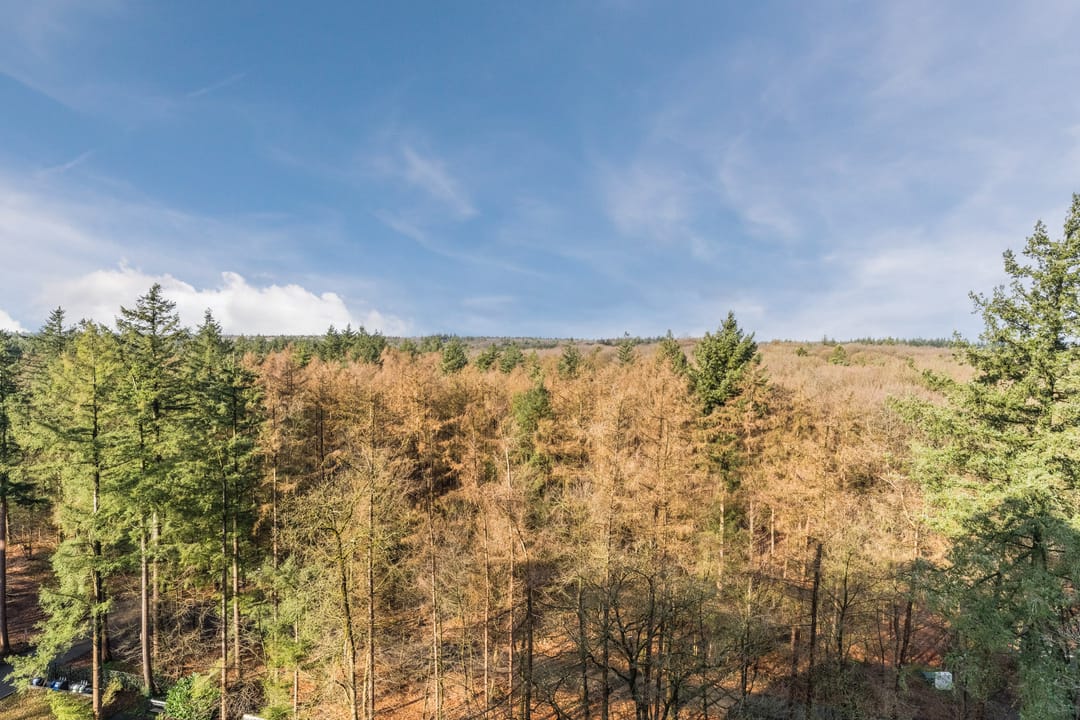 Foto 28 van Soerenseweg 125-98