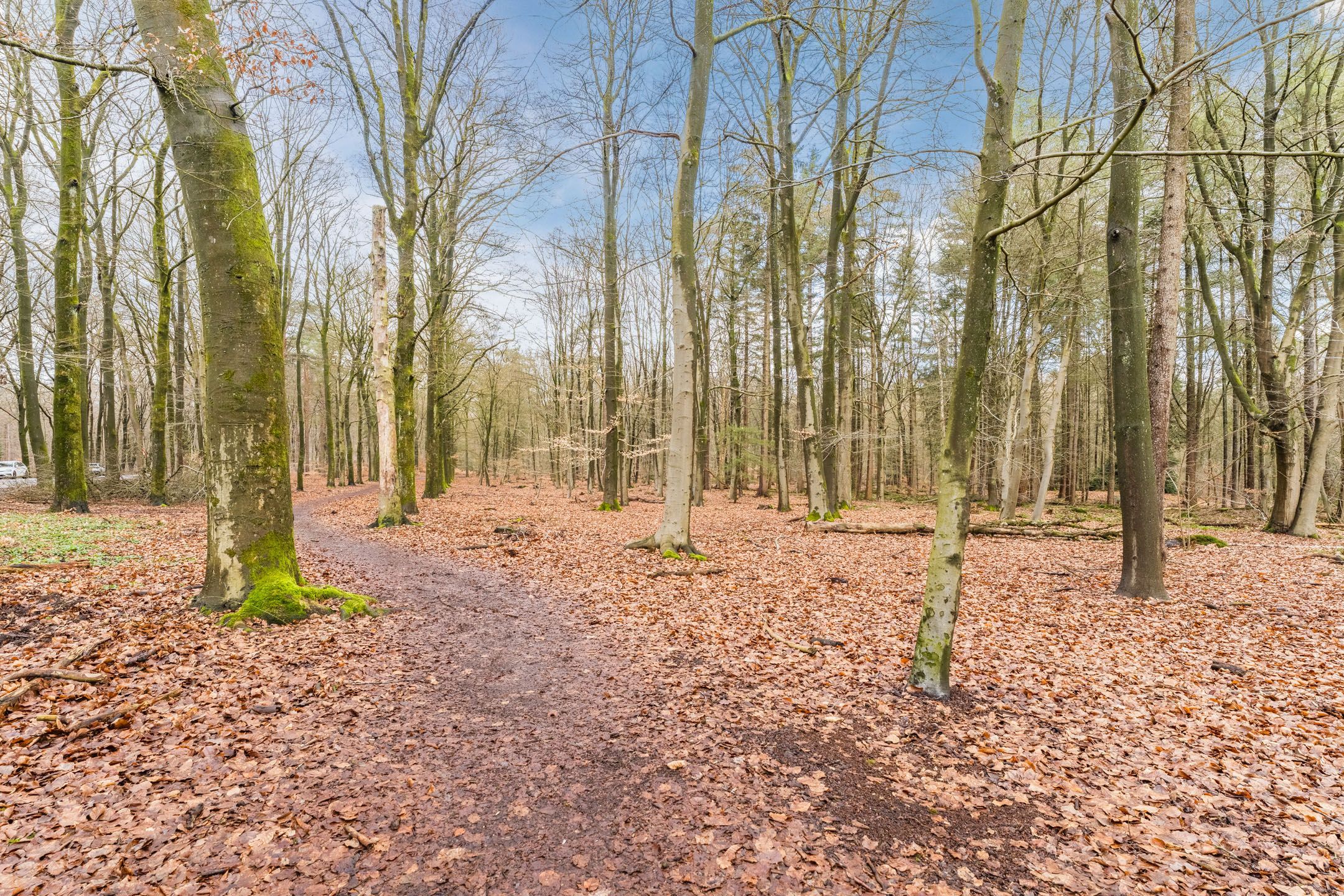 Foto 51 van Soerenseweg 125-98