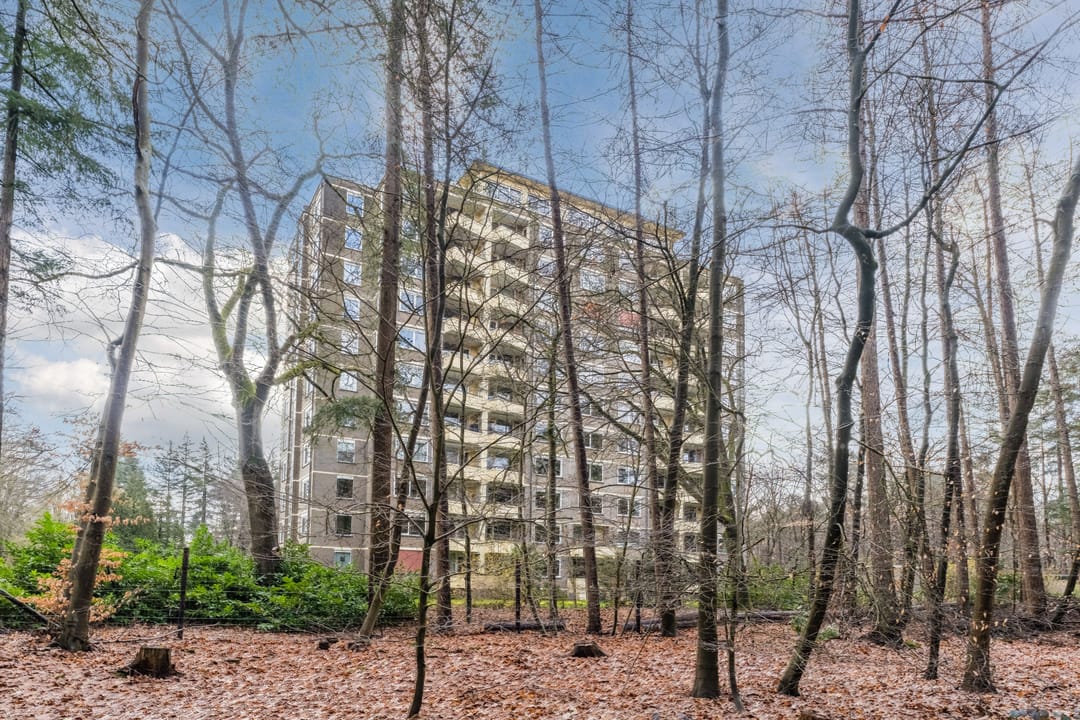 Foto 52 van Soerenseweg 125-98