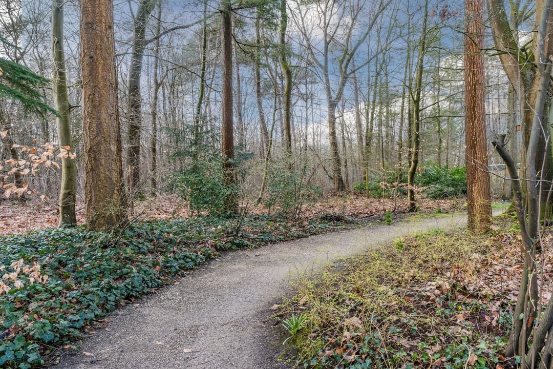 Foto 53 van Soerenseweg 125-98