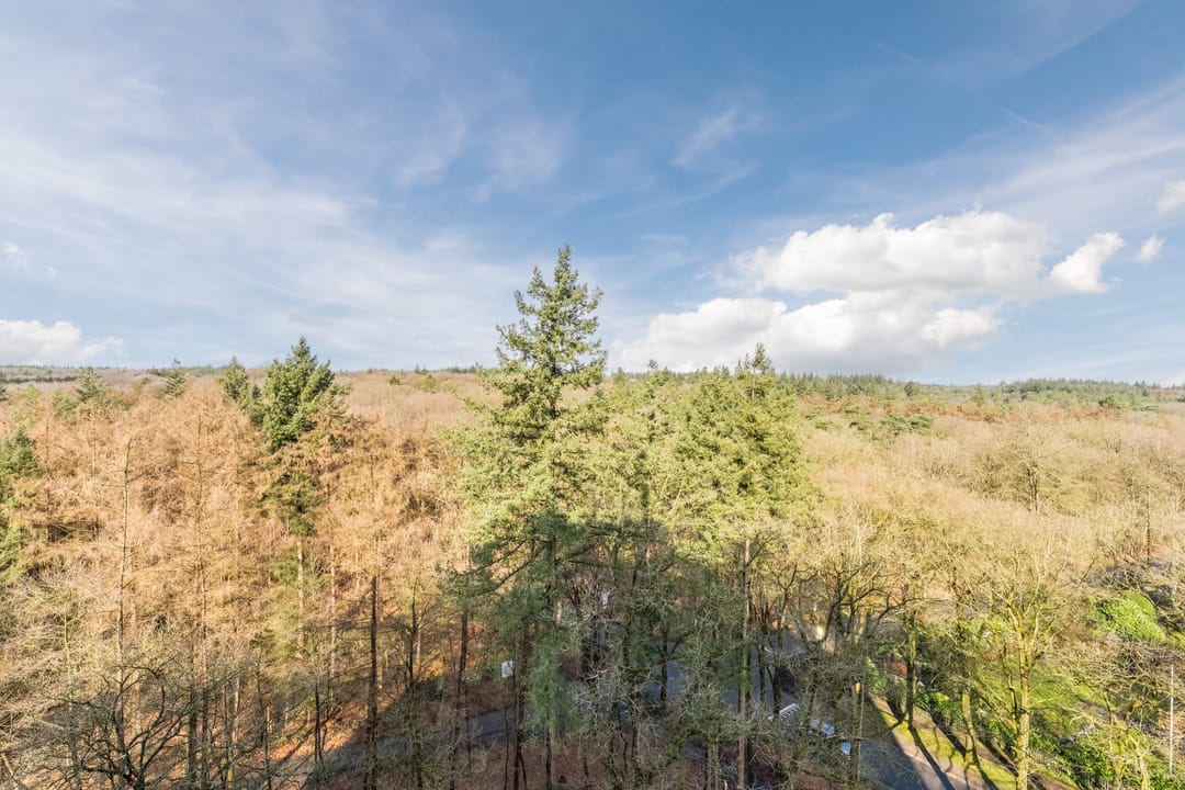 Foto 41 van Soerenseweg 125-98