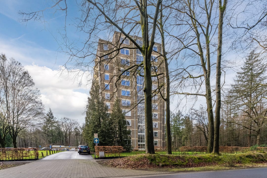 Foto 38 van Soerenseweg 125-98