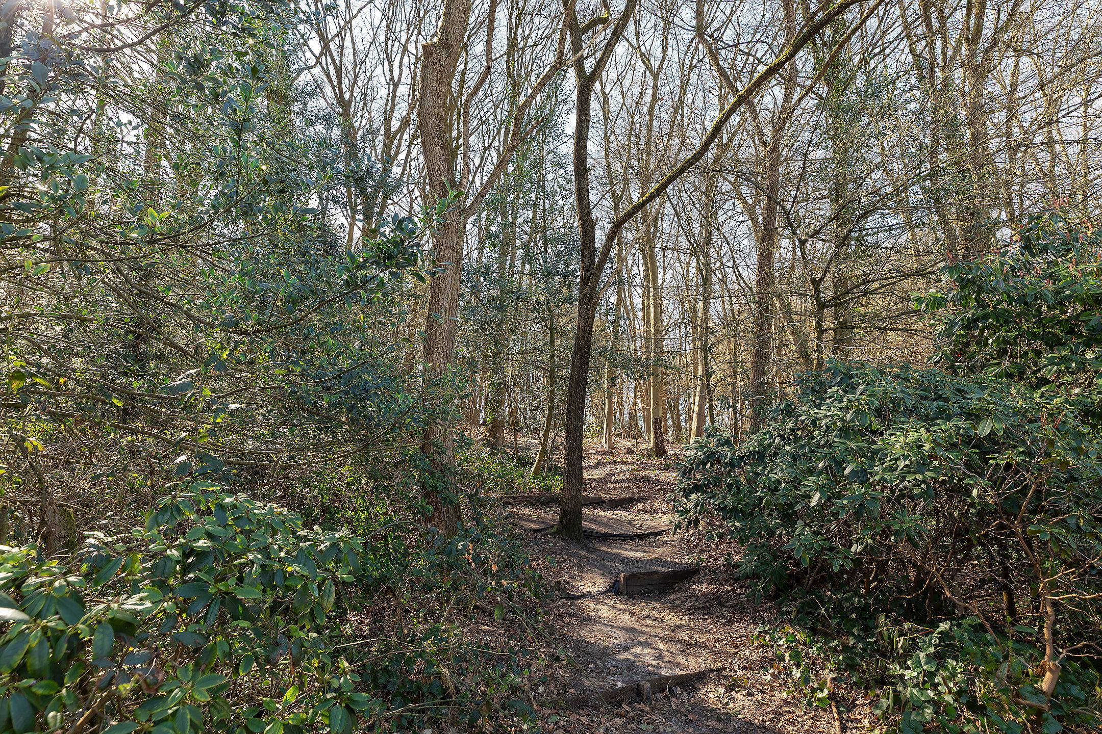 Photo 36 of Acaciapark 148