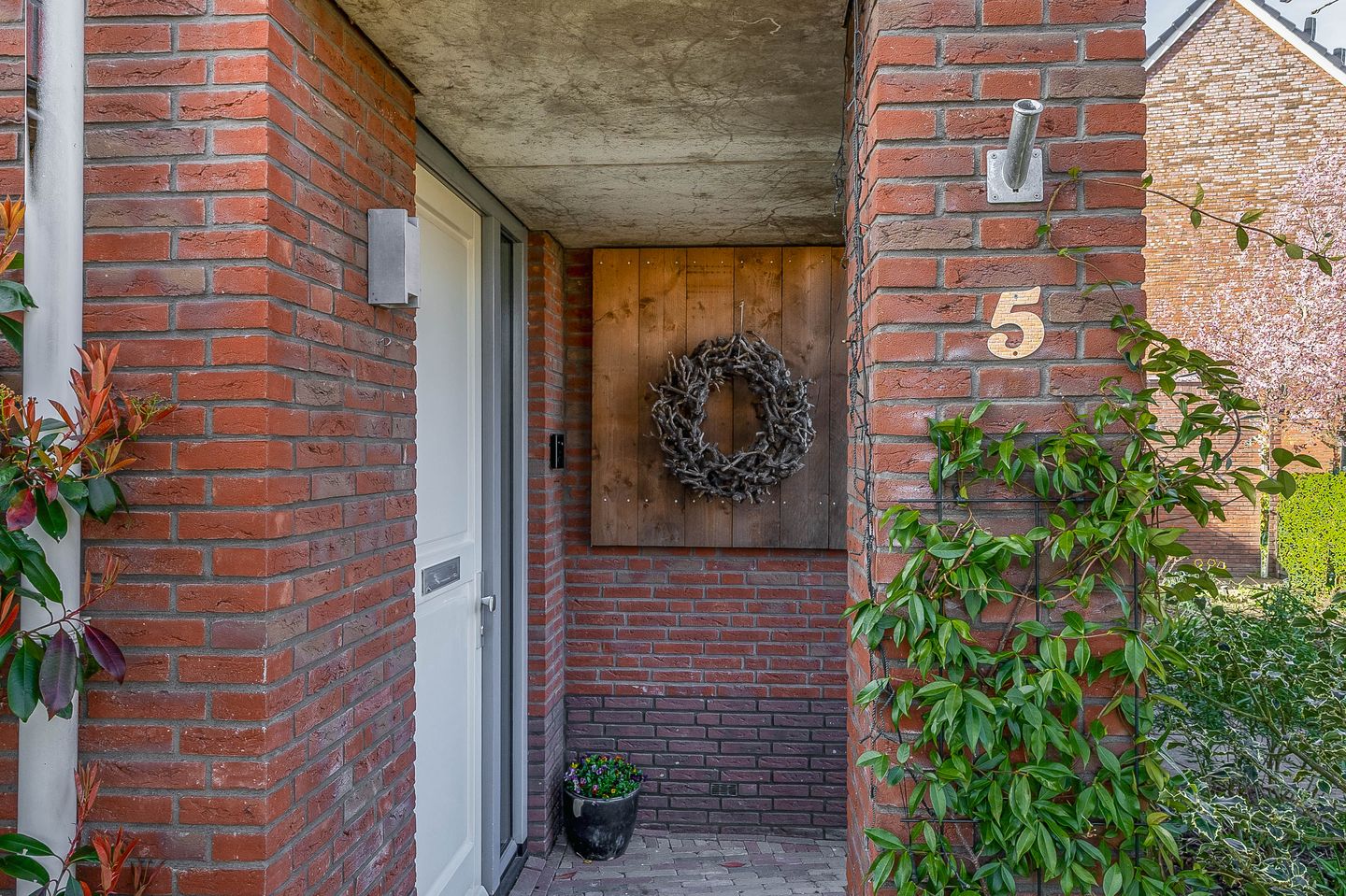 Photo 4 of Noordelijke Dwarsweg 5