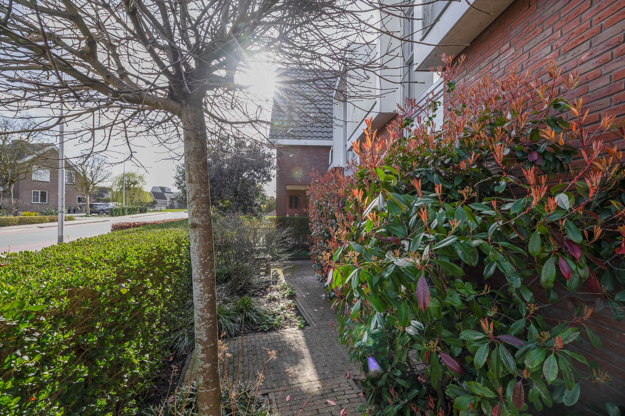 Photo 27 of Noordelijke Dwarsweg 5