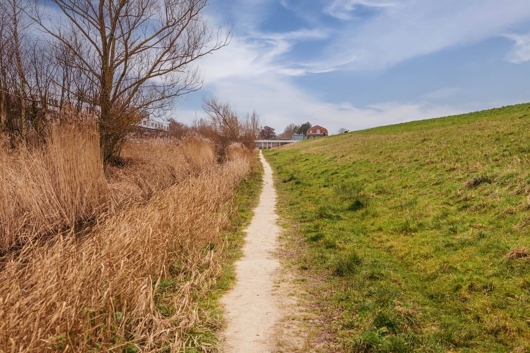 Foto 16 van Pracanalaan 44-C