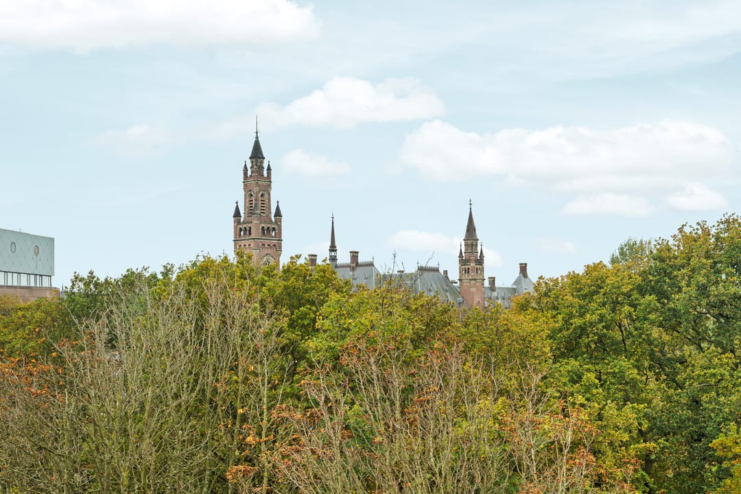 Foto 23 van Burgemeester Patijnlaan 262