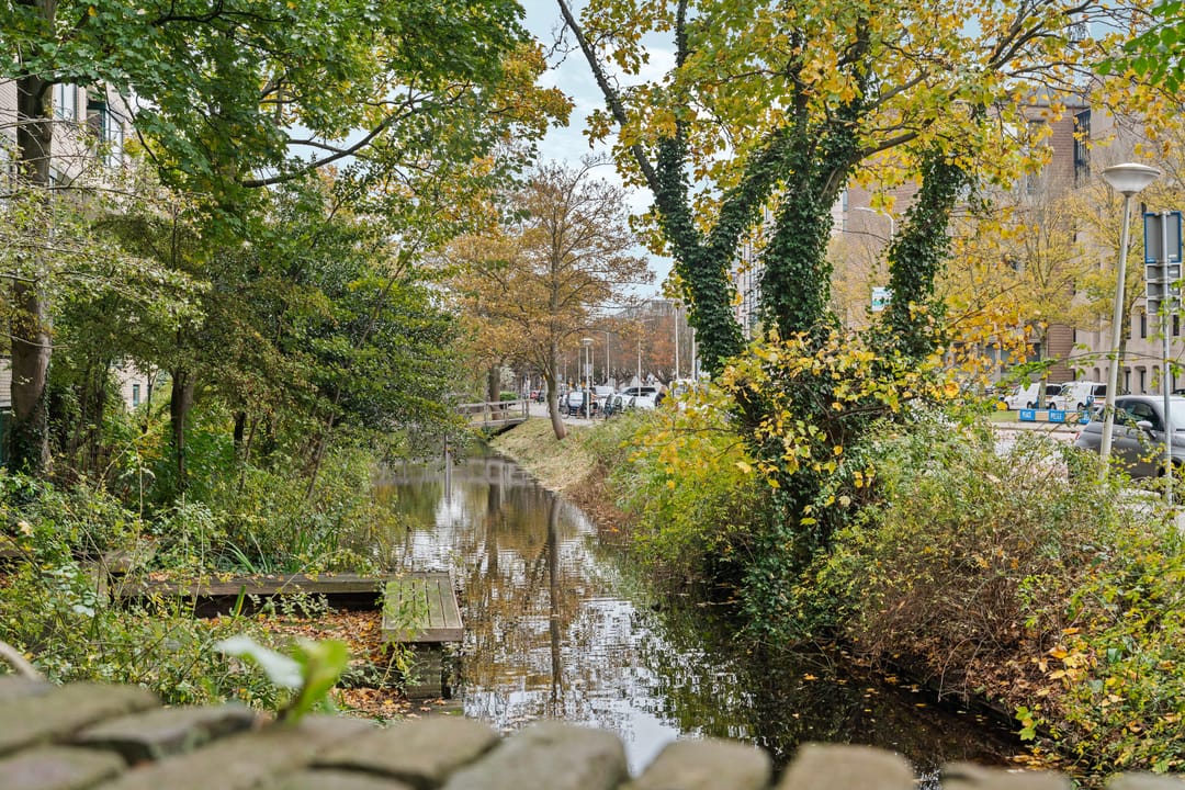 Foto 26 van Burgemeester Patijnlaan 262