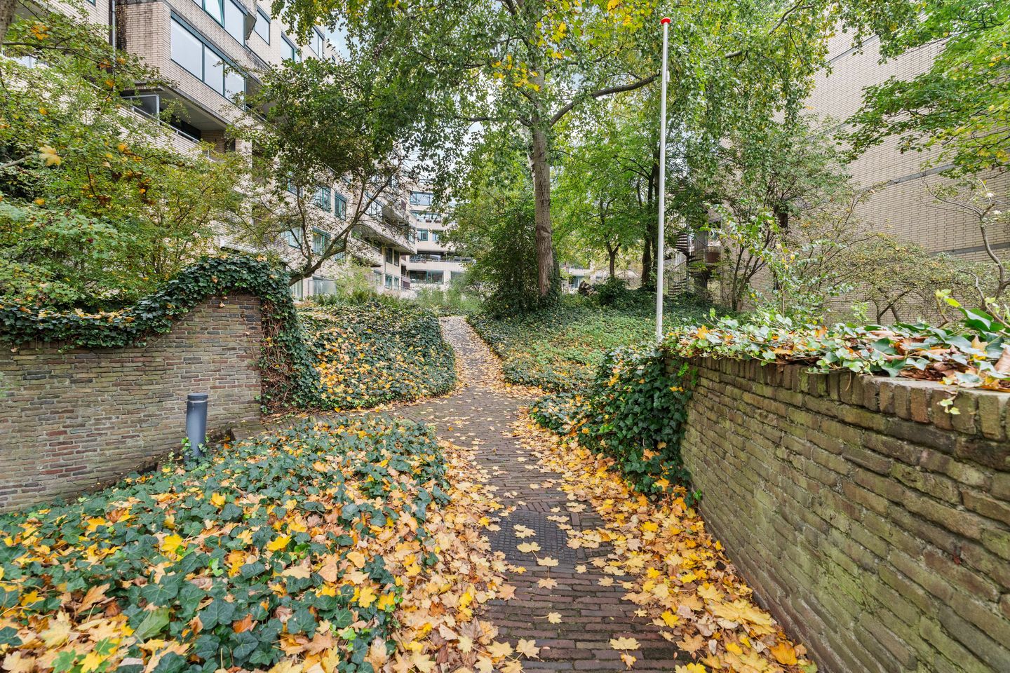 Foto 25 van Burgemeester Patijnlaan 262