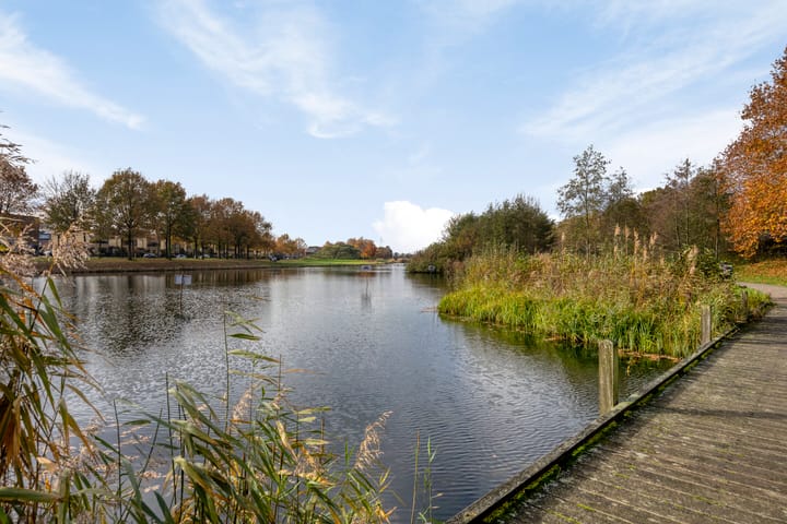 Foto 4 van Waterscheerling 29