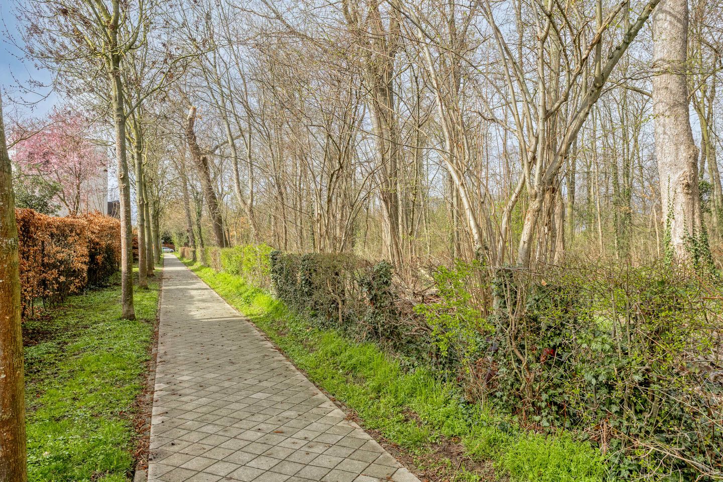 Foto 50 van Savelsbosch 25